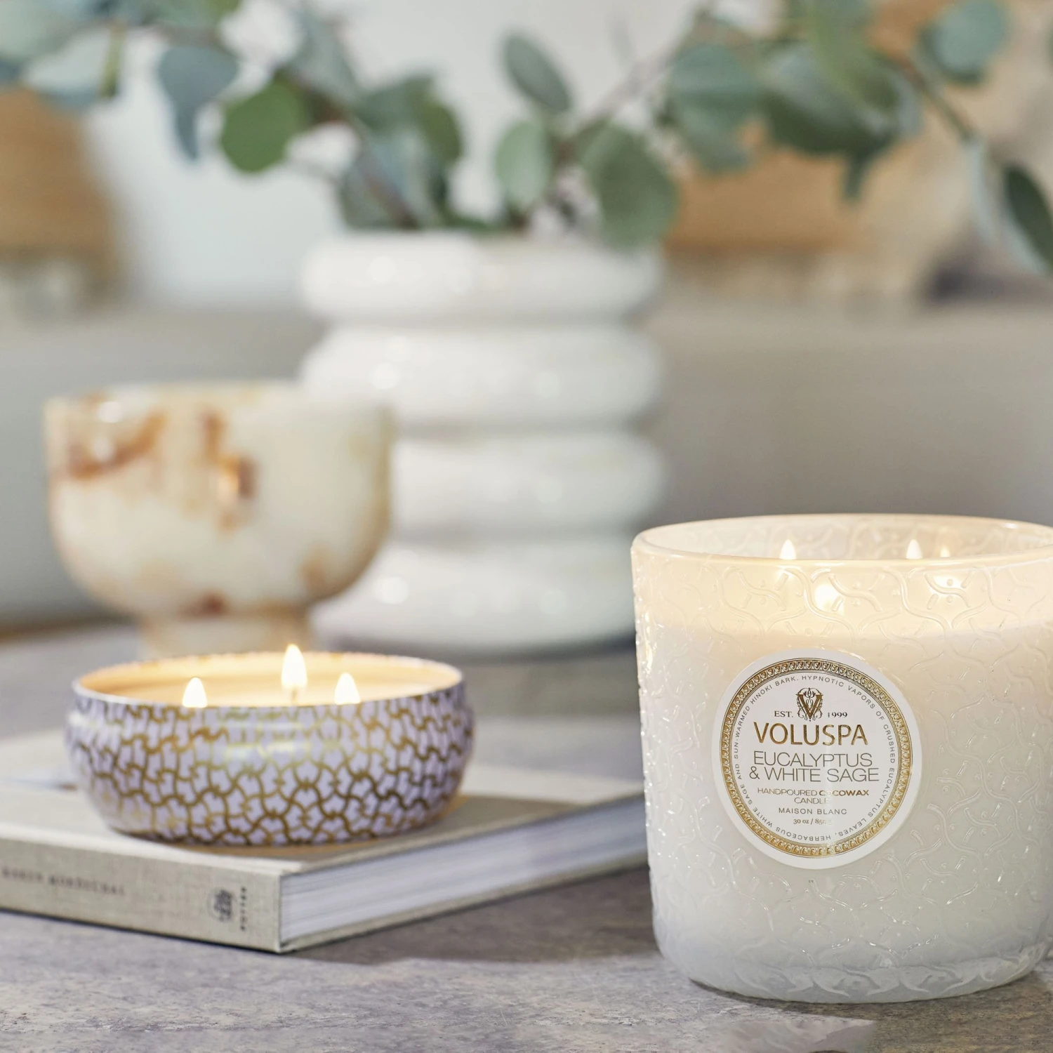 Voluspa Eucalyptus & White Sage - Luxe Candle 2 Voluspa Eucalyptus & White Sage - Luxe Candle - Image 2