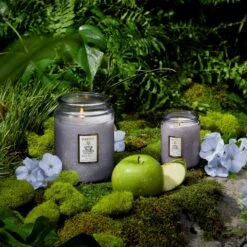 Voluspa Apple Blue Clover - Large Jar Candle -Voluspa Sales Store FA21 Japonica Refresh 72324 73524 Web