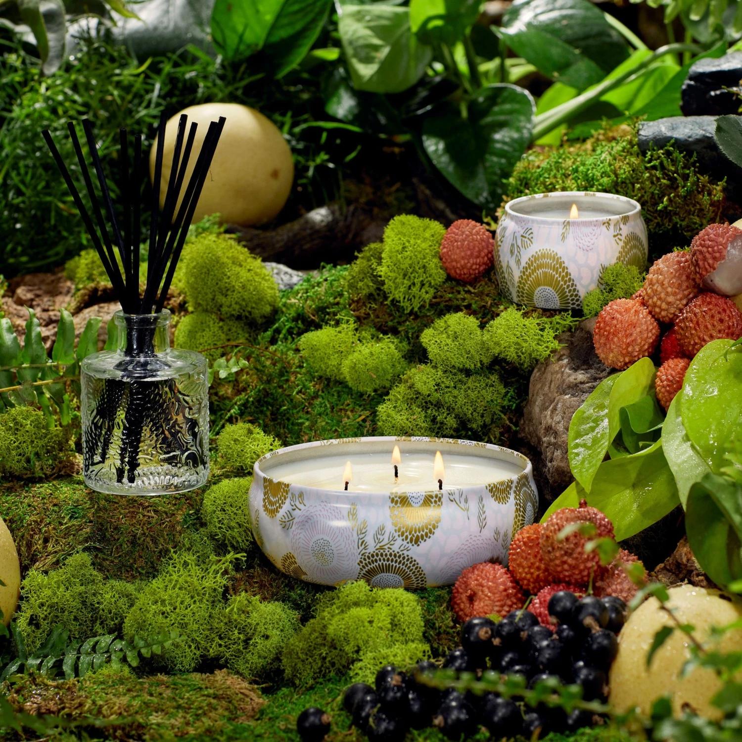 Voluspa Panjore Lychee - Mini Tin Candle 2 Voluspa Panjore Lychee - Mini Tin Candle - Image 2