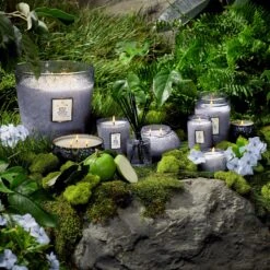 Voluspa Apple Blue Clover - Petite Jar Candle -Voluspa Sales Store FA21 Japonica Refresh Apple Blue Clover 1 HR 8448c436 13bf 4379 9571 5f8d0c534bed