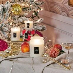 Voluspa Spiced Goji Tarocco Orange - Petite Pedestal Candle -Voluspa Sales Store HO21 LF 73318 73518 73918 Web