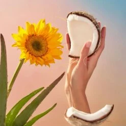 Voluspa Eucalyptus & White Sage - Hand Lotion -Voluspa Sales Store S23 HAND LOTION ALL WEB 27b13061 c733 4d15 ac20 f17937c761da