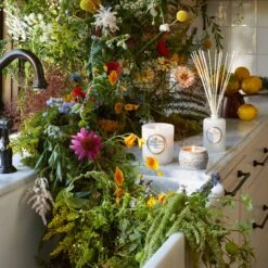 Voluspa Wildflowers - Mini Tin Candle 10 Voluspa Wildflowers - Mini Tin Candle -Voluspa Sales Store SP22 LFopt 8108 8118 2 WEB a4b6ae5c 101c 4c8f 8ad2 2fc92d893bf5