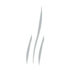 Voluspa - Blackberry Rose Oud 2 Wick Mini Tin Candle